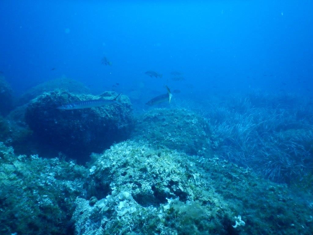 elba-ottobre-2016-017