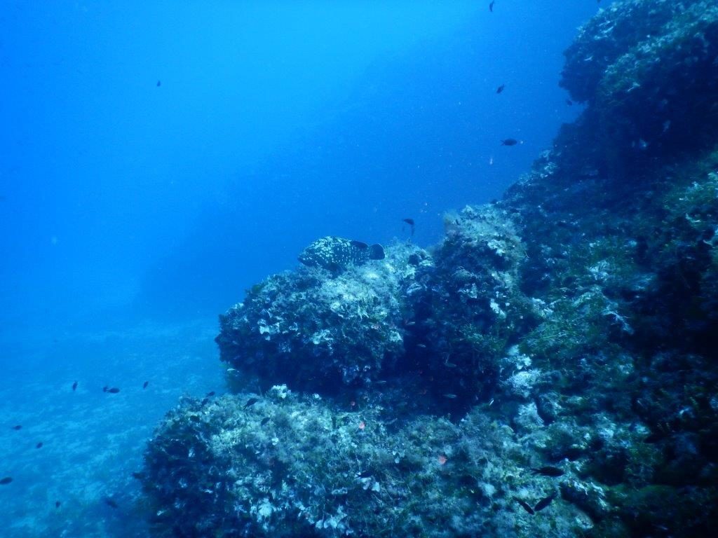 elba-ottobre-2016-036